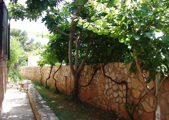 Manuela Vila Liznjan